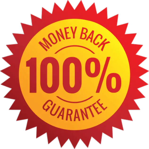 Auto Air Pump 100% money back guarantee